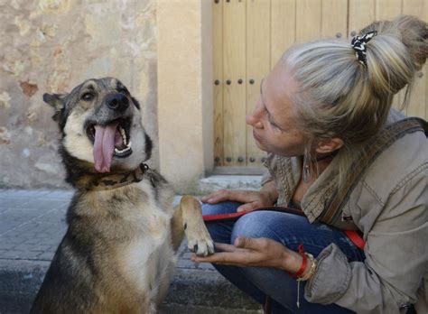 zoofilia perro grande|Se deja querer y penetrar por su enorme perro